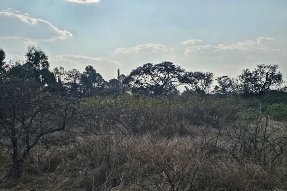 Residential vacant land for sale in Burnside, Bulawayo, Zimbabwe - 3ZB1751357 Residential vacant land for sale in Burnside, Bulawayo, Zimbabwe - 3ZB1751357