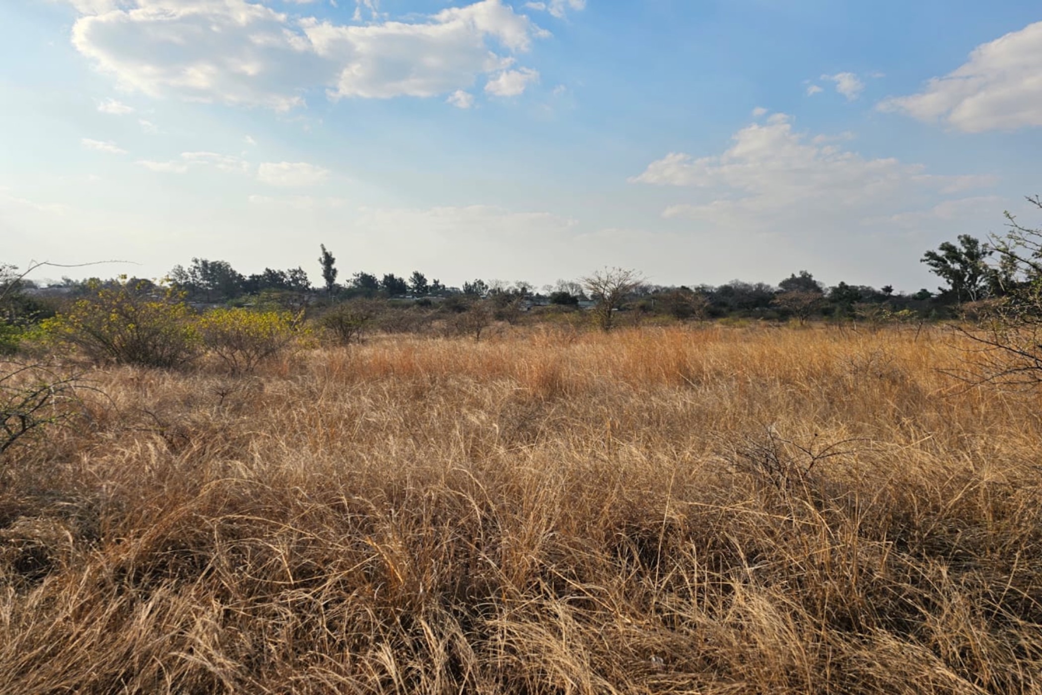 Residential vacant land for sale in Burnside, Bulawayo, Zimbabwe - 3ZB1751357