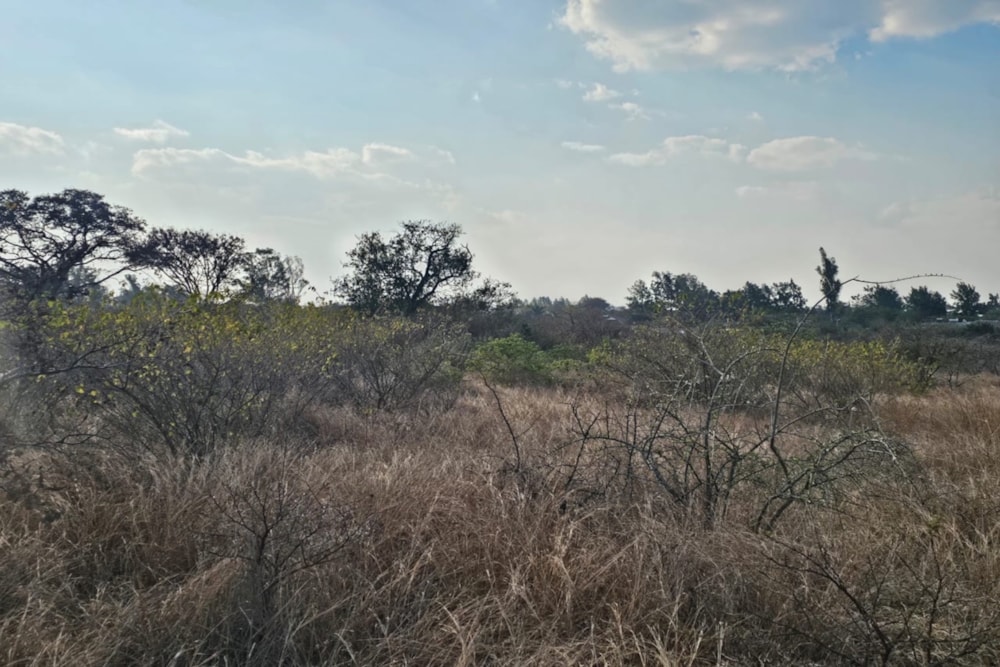 Residential vacant land for sale in Burnside, Bulawayo, Zimbabwe - 3ZB1751357 Residential vacant land for sale in Burnside, Bulawayo, Zimbabwe - 3ZB1751357