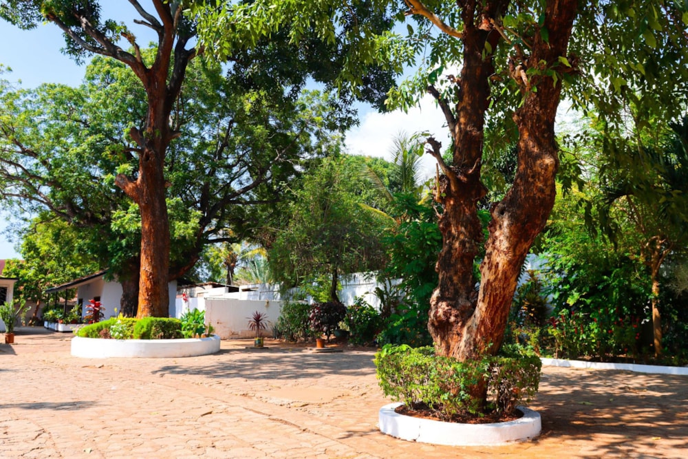 Beach resort for sale in Tanzania - PGLAG1751352 Beach resort for sale in Tanzania - PGLAG1751352