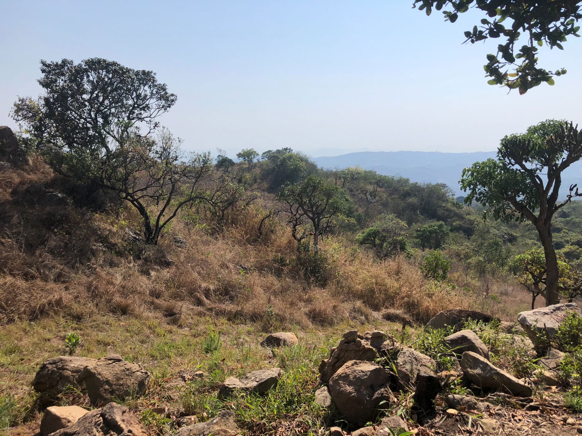 Farm vacant land for sale in Mbombela Central (Nelspruit Central) - 1NS1751692