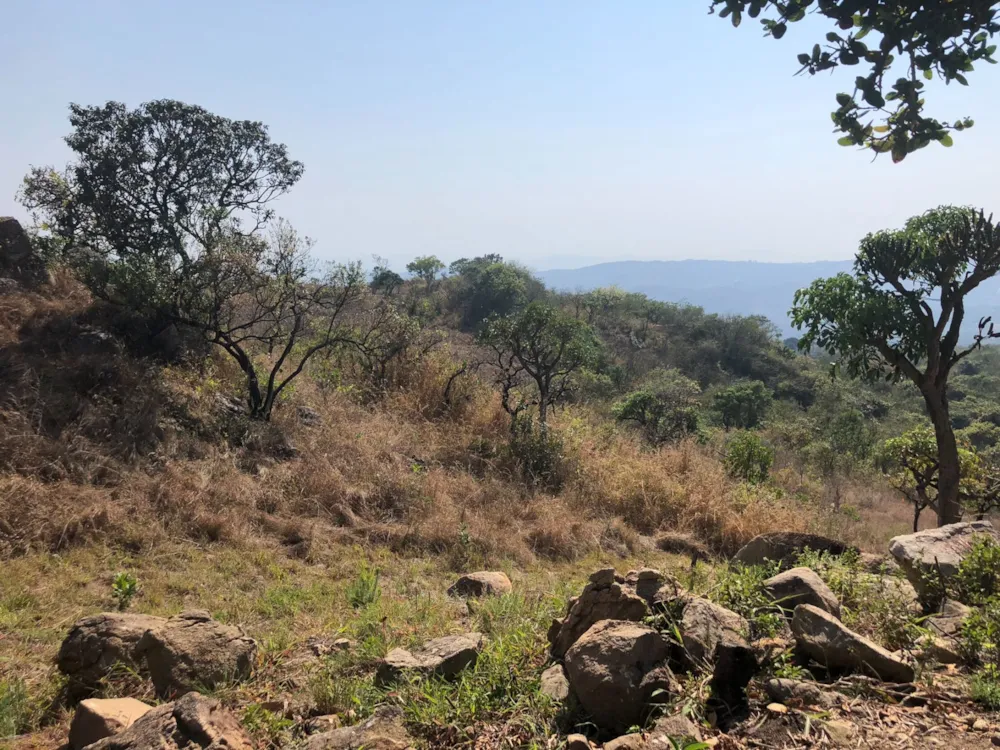 Farm vacant land for sale in Mbombela Central (Nelspruit Central) - 1NS1751692