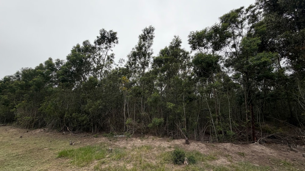 Vacant land for sale in Van Stadens River East AH, Port Elizabeth Farms, Gqeberha Farms - 1PLZ1753383 Vacant land for sale in Van Stadens River East AH, Port Elizabeth Farms, Gqeberha Farms - 1PLZ1753383