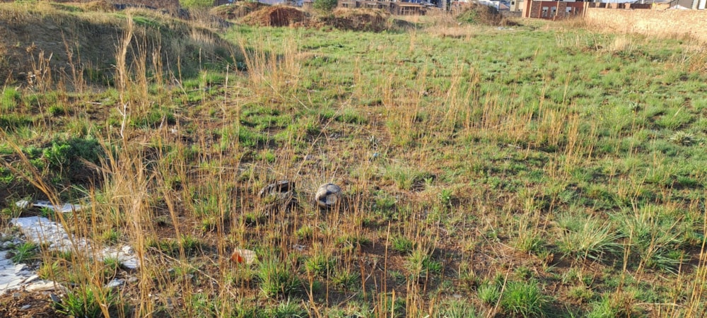 Residential vacant land for sale in Aerorand - 1MD1752203 Residential vacant land for sale in Aerorand - 1MD1752203