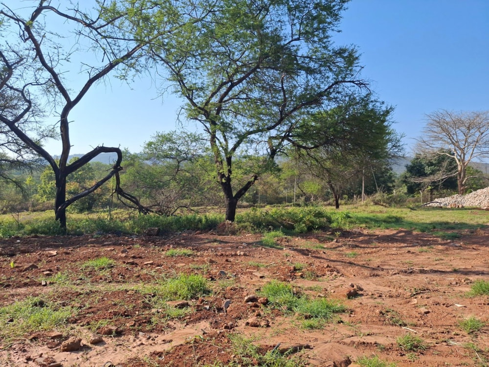 Commercial vacant land for sale in Tzaneen Industrial - 1TA1753385 Commercial vacant land for sale in Tzaneen Industrial - 1TA1753385