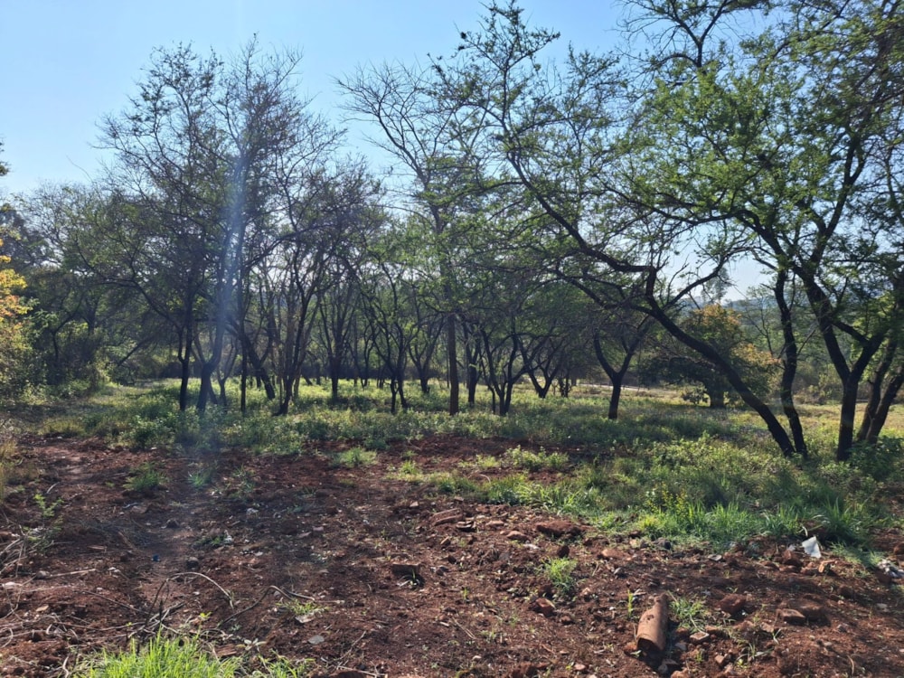 Commercial vacant land for sale in Tzaneen Industrial - 1TA1753385 Commercial vacant land for sale in Tzaneen Industrial - 1TA1753385