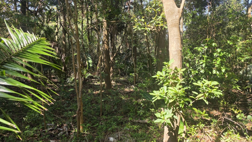 Residential vacant land for sale in Glenmore Beach - 1PD1752192