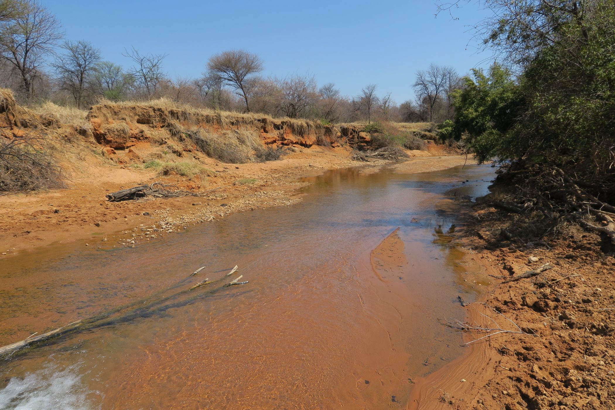 Game farm for sale in Thabazimbi - 1ER1752746