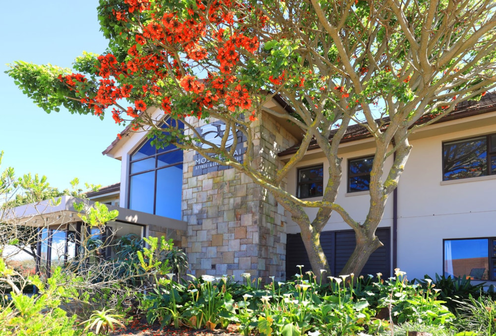 Bachelor retirement apartment to rent in Dana Bay - 1MB1752379