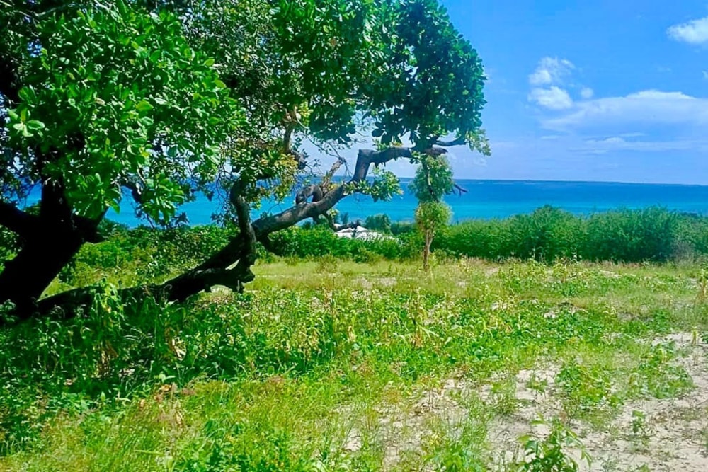 Vacant land for investment in Nacala, Mozambique - 3MQ1752365 Vacant land for investment in Nacala, Mozambique - 3MQ1752365