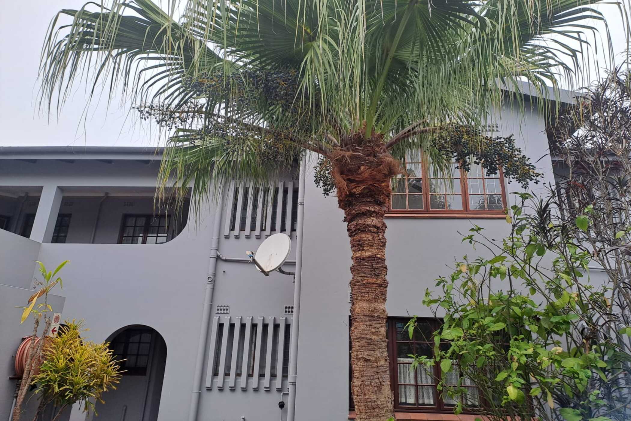 Apartment to rent in Winklespruit - 1WB1752631