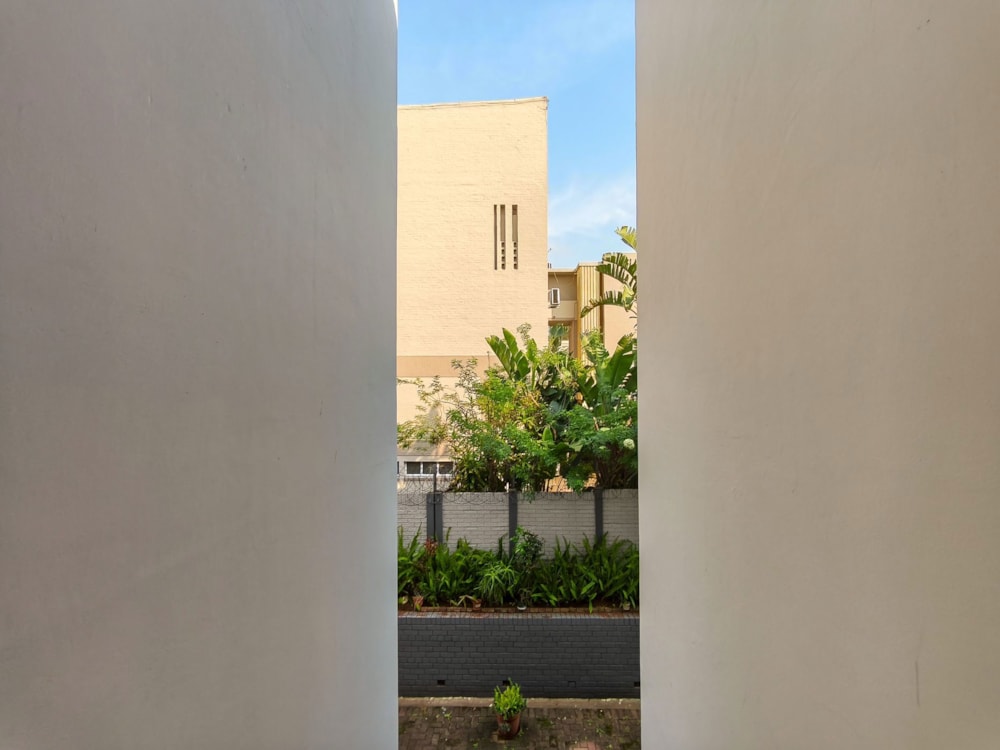 Apartment to rent in Musgrave - 1DBN1752833 Apartment to rent in Musgrave - 1DBN1752833