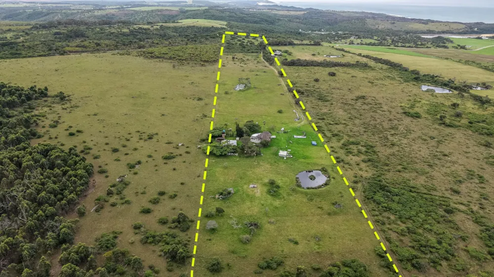 Livestock farm for sale in East London - 1EZ1752800 Livestock farm for sale in East London - 1EZ1752800