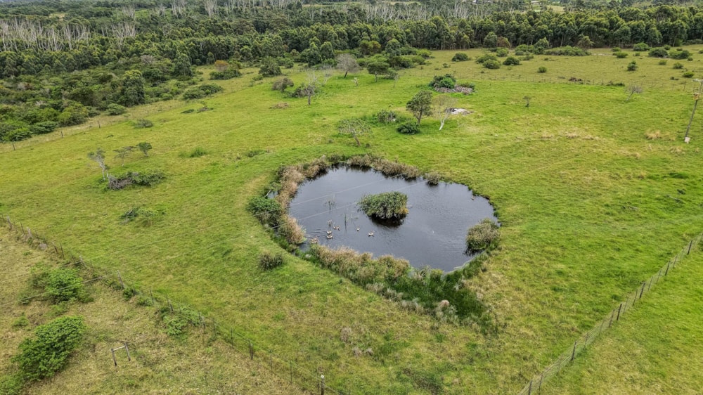 Livestock farm for sale in East London - 1EZ1752800 Livestock farm for sale in East London - 1EZ1752800