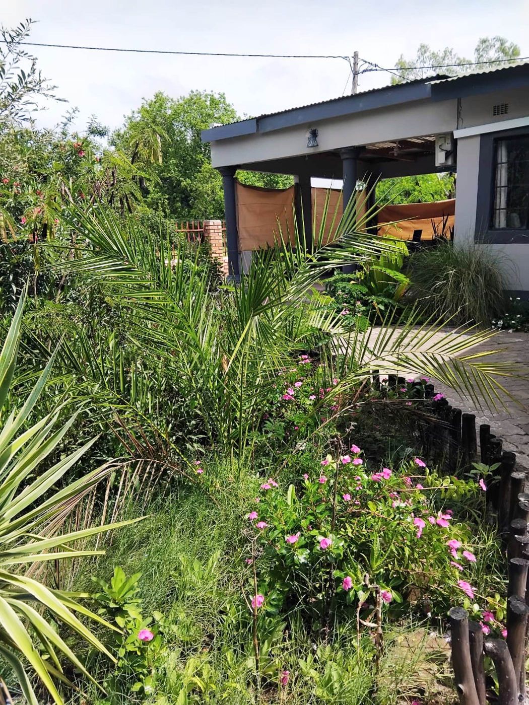 House for sale in Maun, Botswana - 3BO1752813