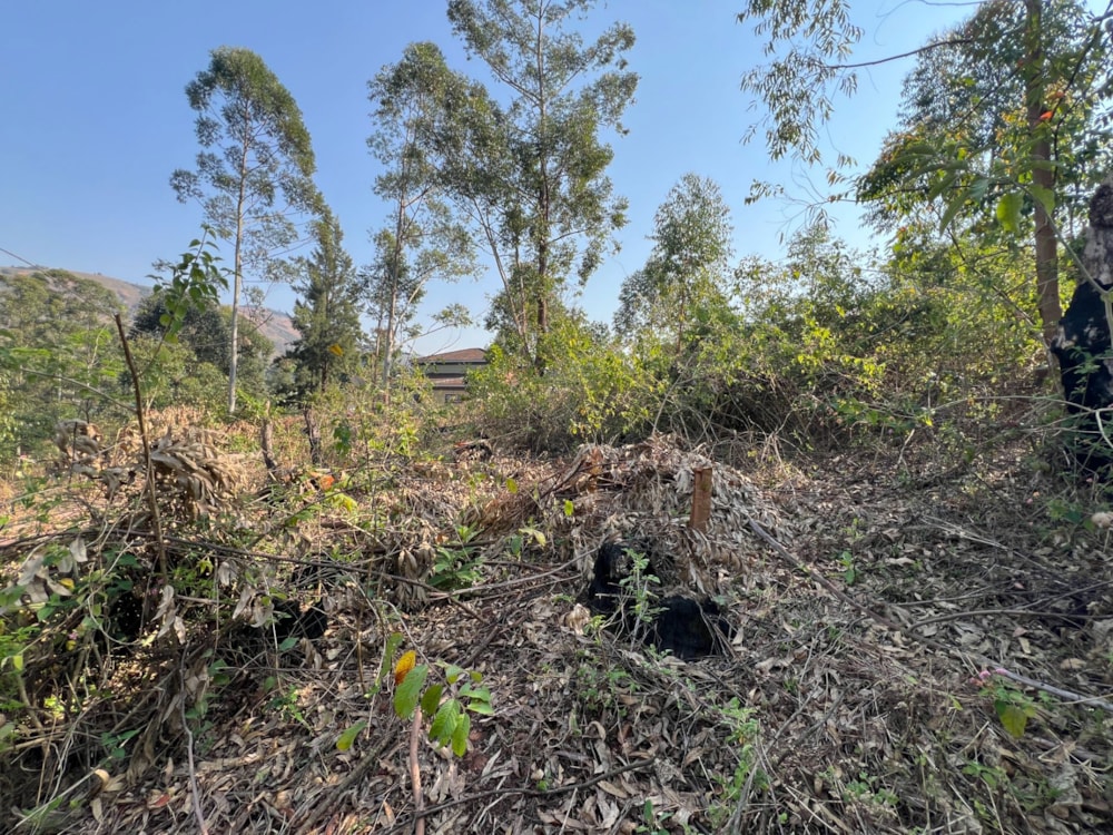 Residential vacant land for sale in Lobamba, Eswatini - 3ES1752841 Residential vacant land for sale in Lobamba, Eswatini - 3ES1752841