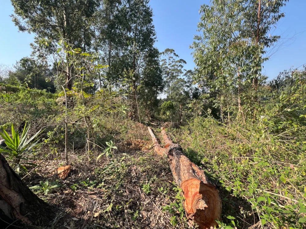Residential vacant land for sale in Lobamba, Eswatini - 3ES1752841 Residential vacant land for sale in Lobamba, Eswatini - 3ES1752841