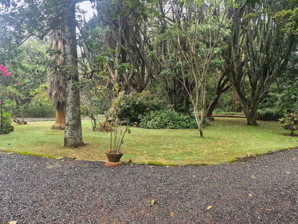 Residential vacant land for sale in Karen, Kenya - 3KE1752941 Residential vacant land for sale in Karen, Kenya - 3KE1752941