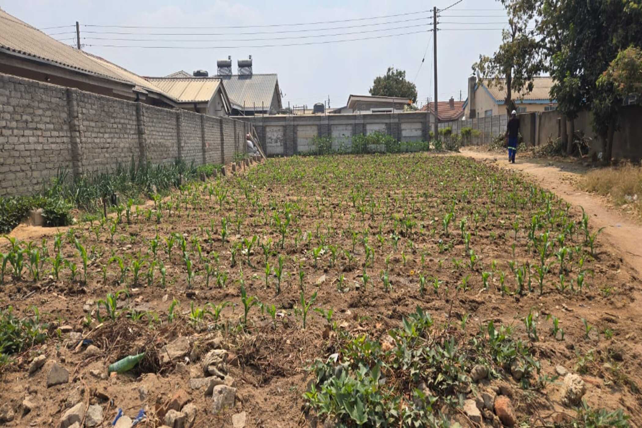 Residential vacant land for sale in Ruwa, Zimbabwe - 3ZB1753011
