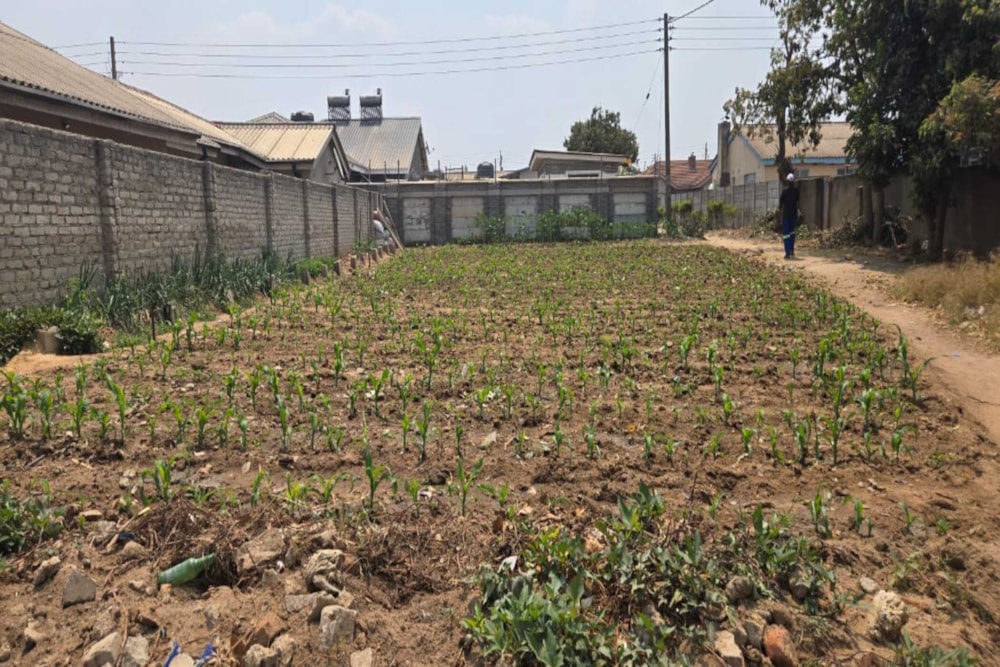 Residential vacant land for sale in Ruwa, Zimbabwe - 3ZB1753011