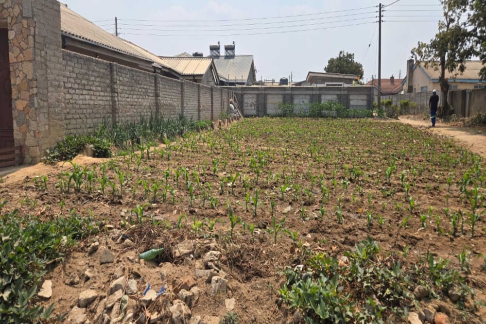 Residential vacant land for sale in Ruwa, Zimbabwe - 3ZB1753011