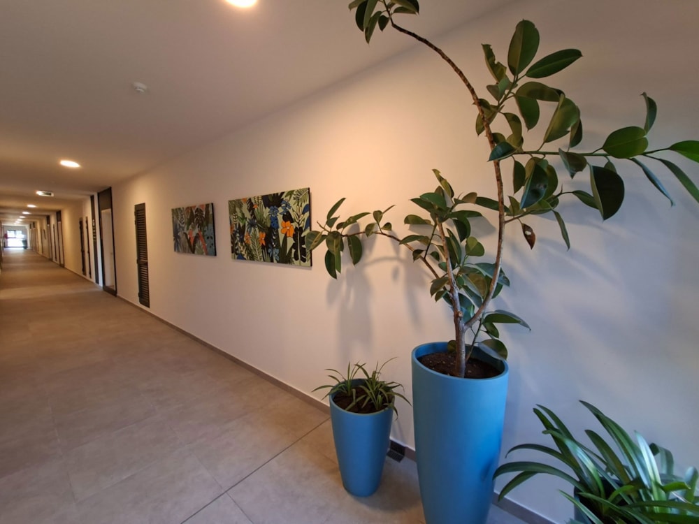 Apartment to rent in Mapou, Mauritius - MPR1753289 Apartment to rent in Mapou, Mauritius - MPR1753289