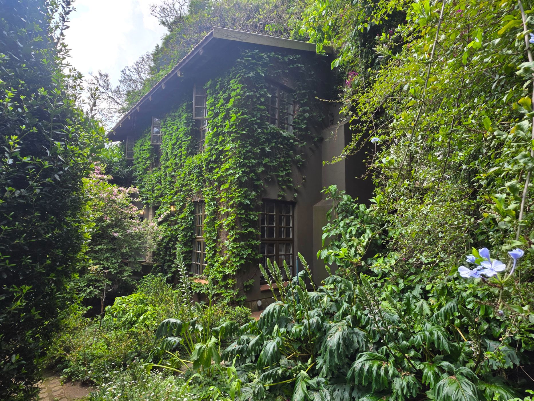 Cottage to rent in Westcliff, Johannesburg - JBL1754905