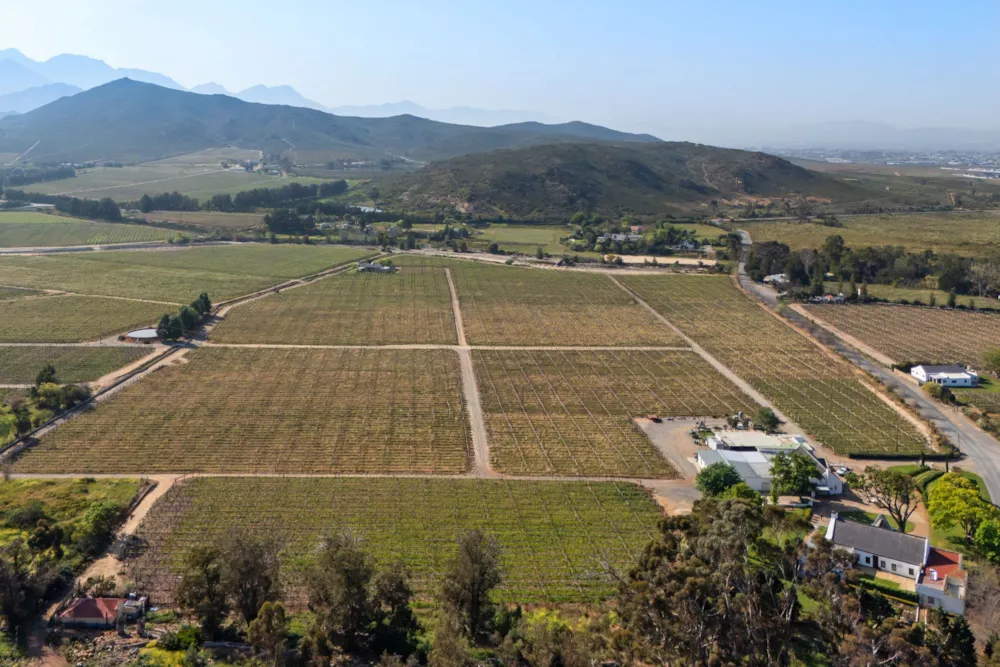 Fruit farm for sale in Worcester - TK1753637 Fruit farm for sale in Worcester - TK1753637
