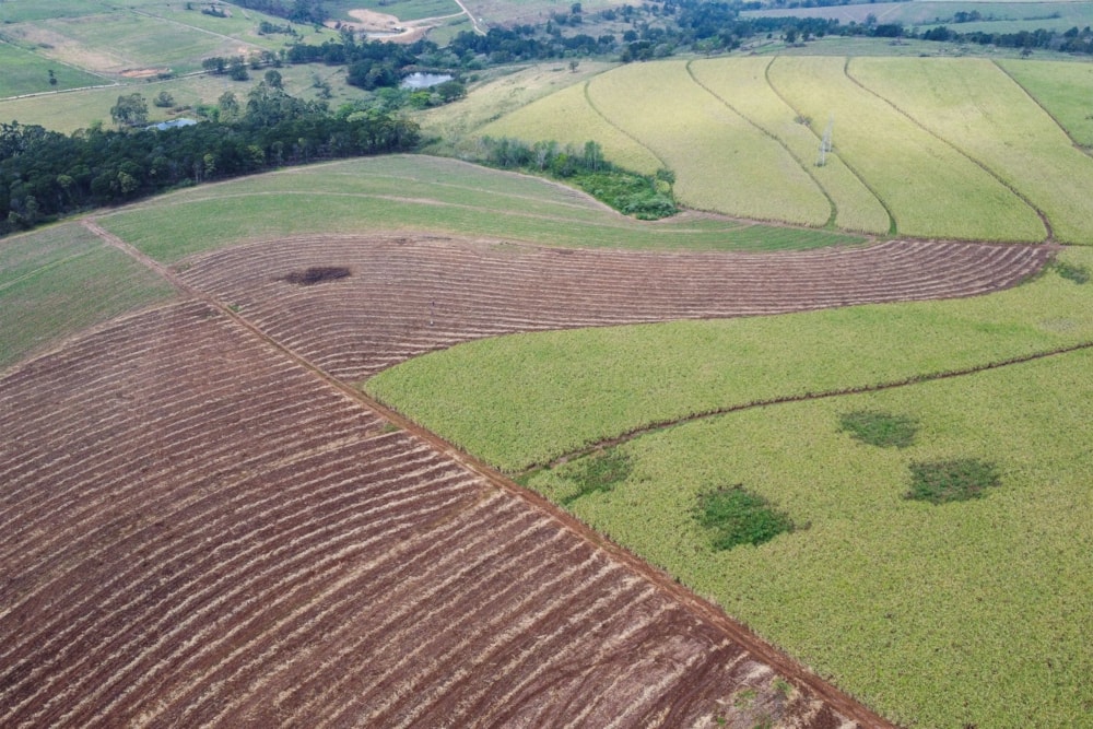 Mixed use farm for sale in Camperdown - 1PM1753866