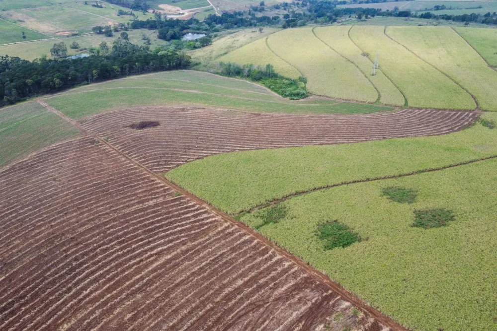 Mixed use farm for sale in Camperdown - 1PM1753866 Mixed use farm for sale in Camperdown - 1PM1753866