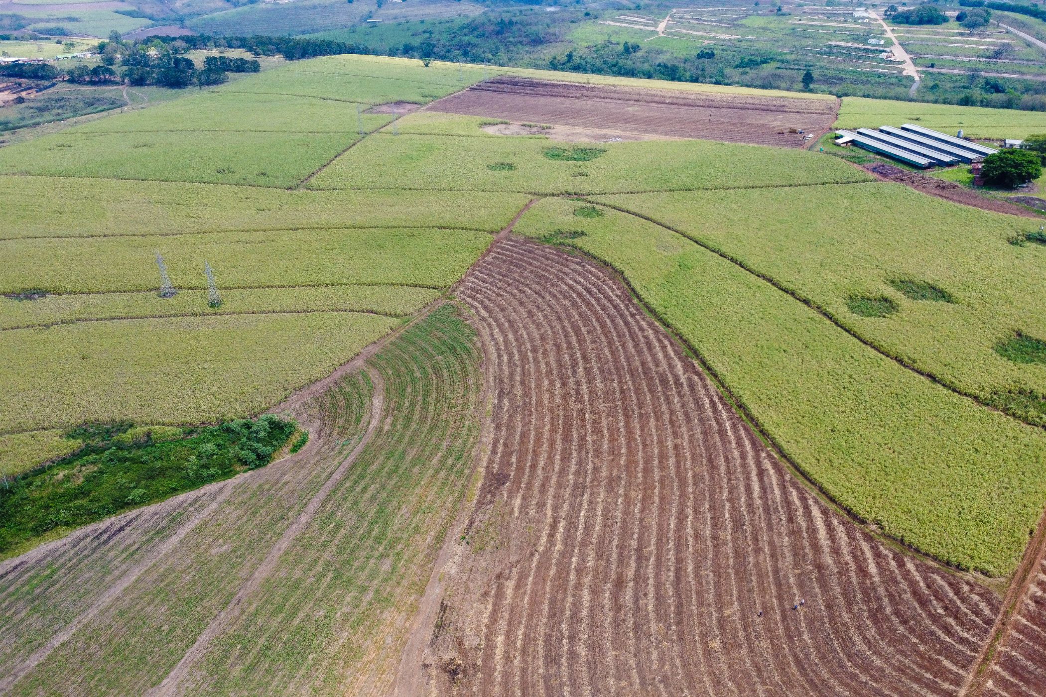 Mixed use farm for sale in Camperdown - 1PM1753866