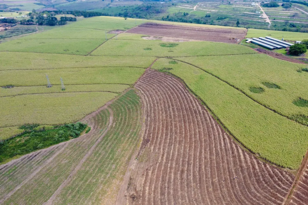 Mixed use farm for sale in Camperdown - 1PM1753866 Mixed use farm for sale in Camperdown - 1PM1753866