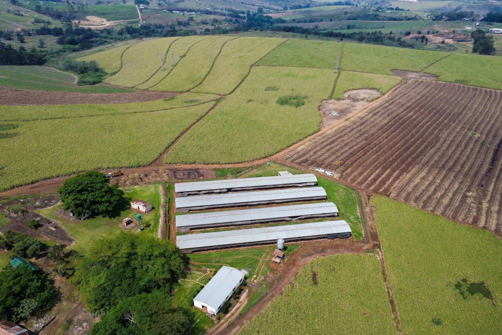 Mixed use farm for sale in Camperdown - 1PM1753866