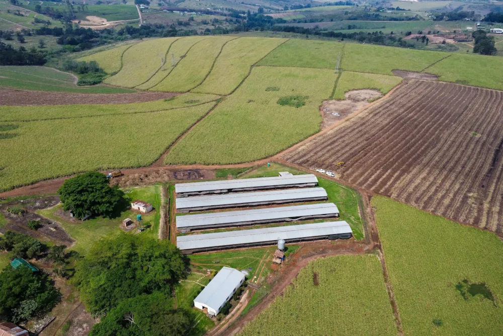 Mixed use farm for sale in Camperdown - 1PM1753866 Mixed use farm for sale in Camperdown - 1PM1753866