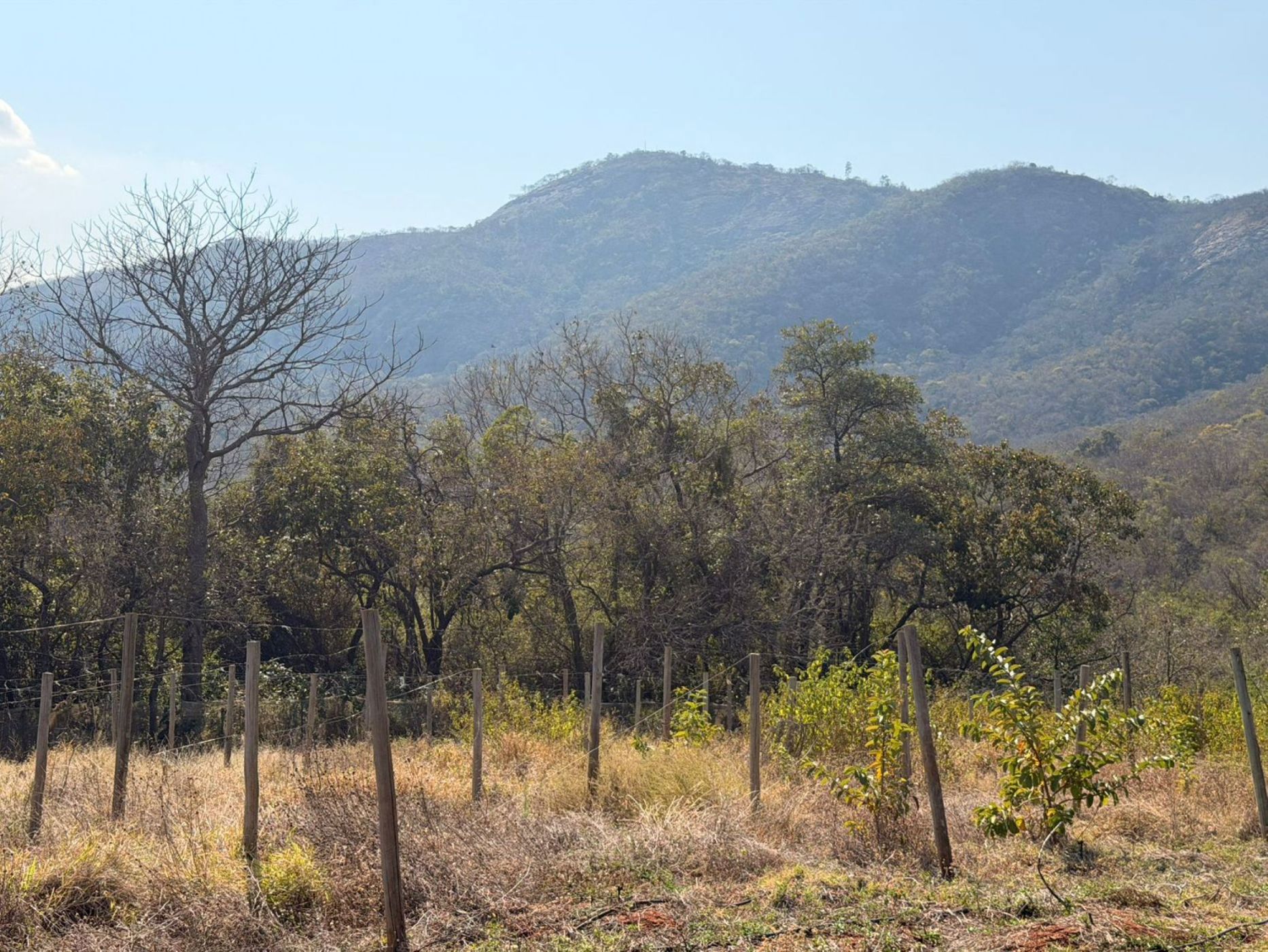 Mixed use farm for sale in Modjadjiskloof - 1TA1750979