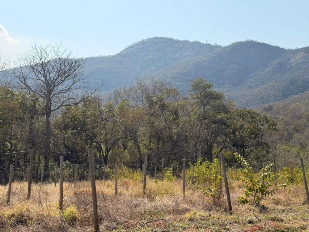 Mixed use farm for sale in Modjadjiskloof - 1TA1750979 Mixed use farm for sale in Modjadjiskloof - 1TA1750979