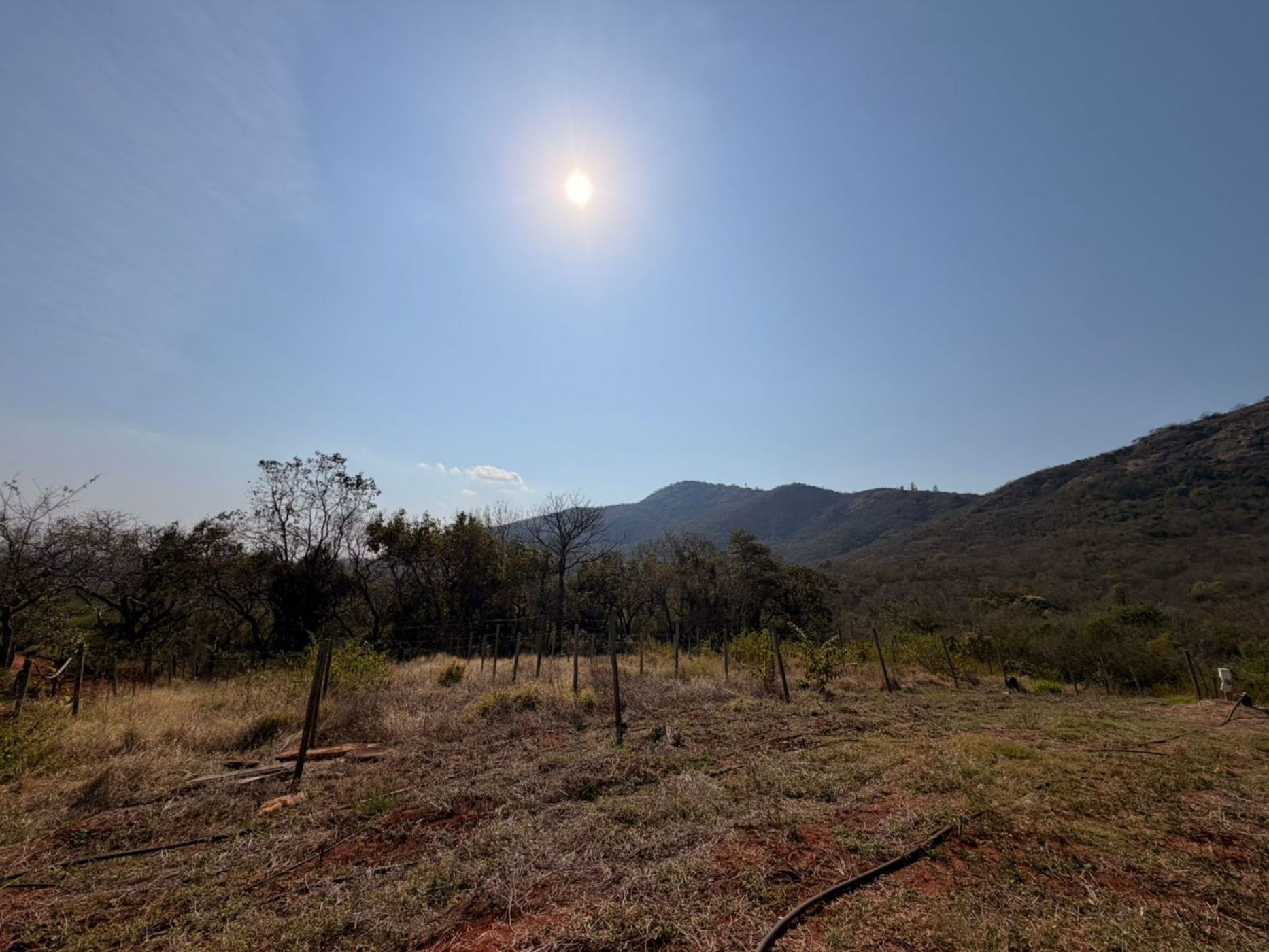 Mixed use farm for sale in Modjadjiskloof - 1TA1750979