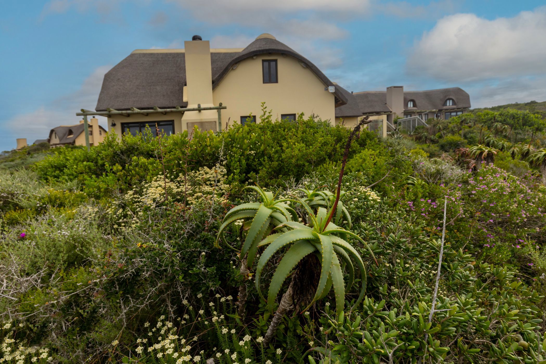 House for sale in Springerbaai Eco Estate - 1MB1747318