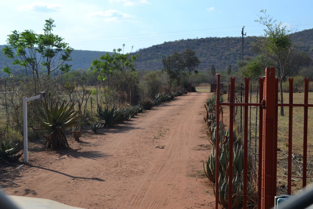 Lifestyle property for sale in Modimolle (Nylstroom) - 1MDM1751506 Lifestyle property for sale in Modimolle (Nylstroom) - 1MDM1751506