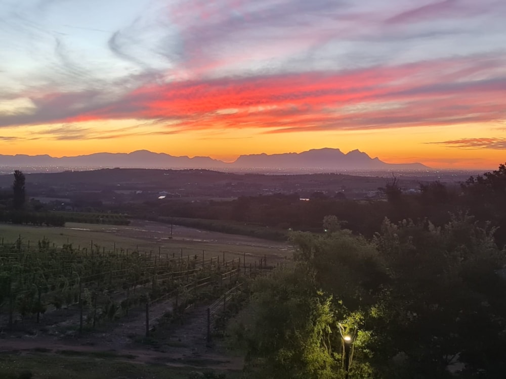 Smallholding for sale in Stellenbosch Farms - ST1726885