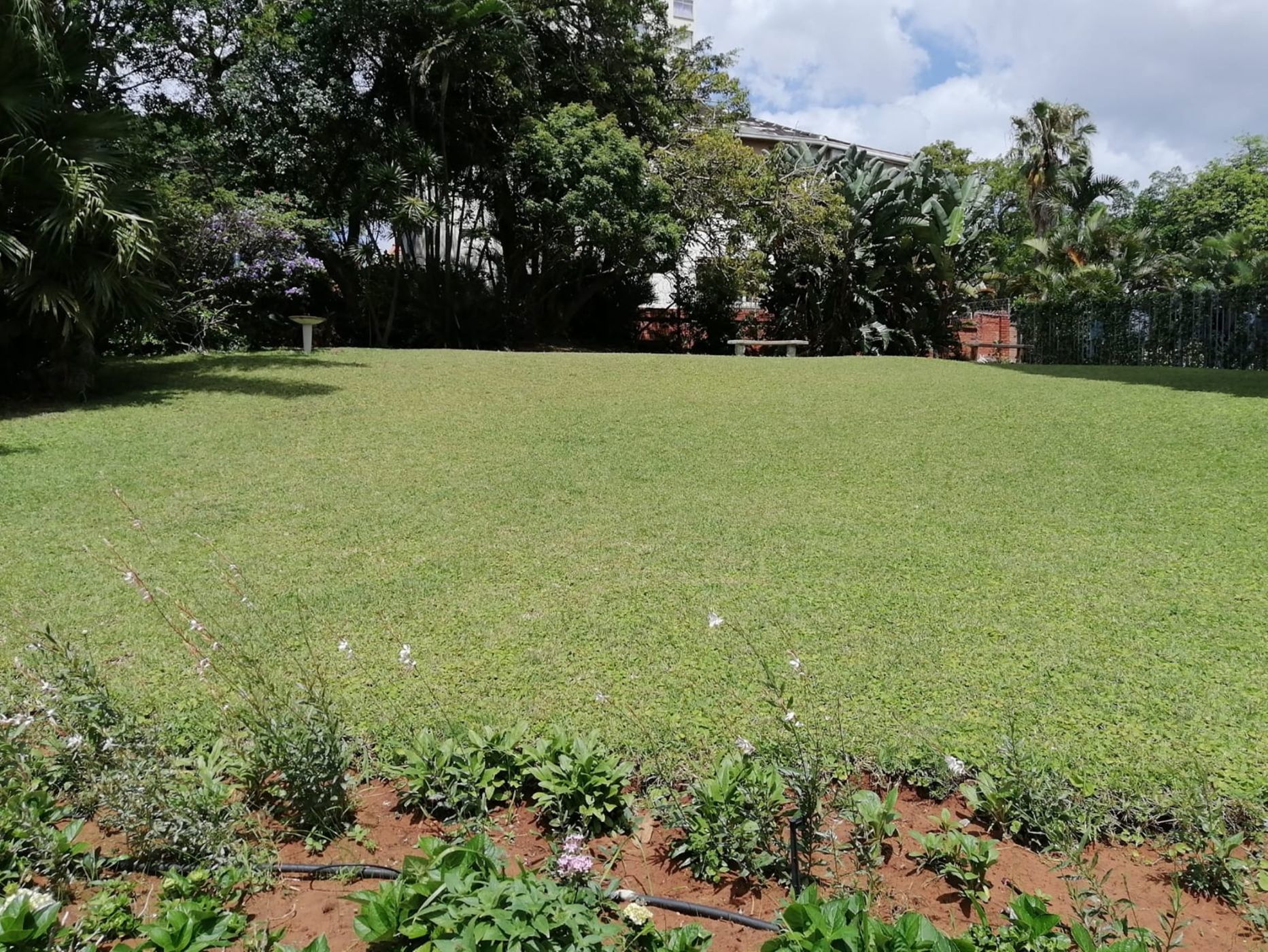 Apartment to rent in Musgrave - 1DBN1750966