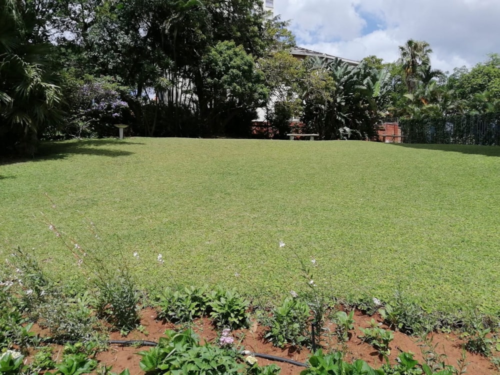 Apartment to rent in Musgrave - 1DBN1750966 Apartment to rent in Musgrave - 1DBN1750966