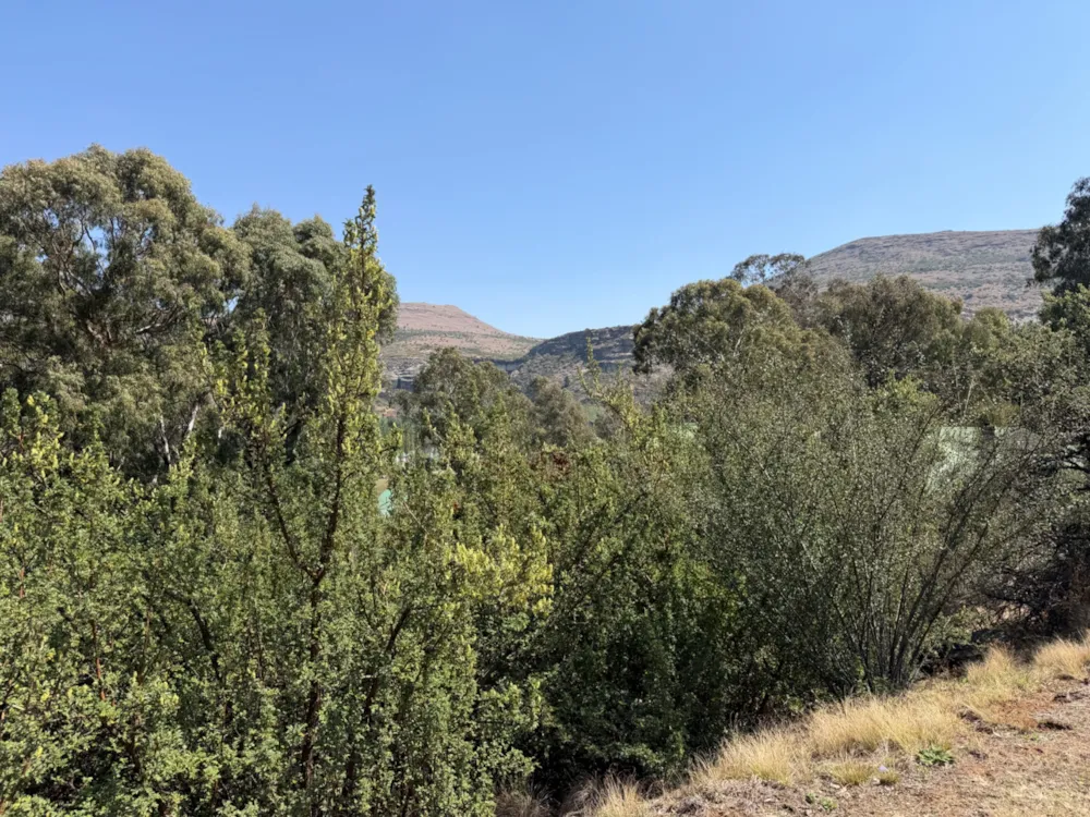 Vacant land for sale in Clarens - 1CS1290370