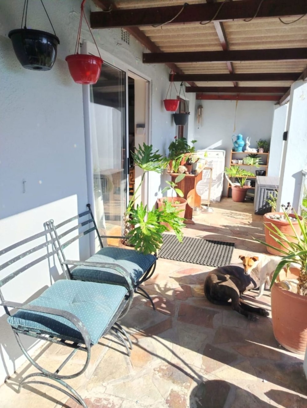 House to rent in De Kelders - 1SW1753157 House to rent in De Kelders - 1SW1753157