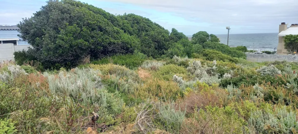 Residential vacant land for sale in Gansbaai - 1SW1756297 Residential vacant land for sale in Gansbaai - 1SW1756297