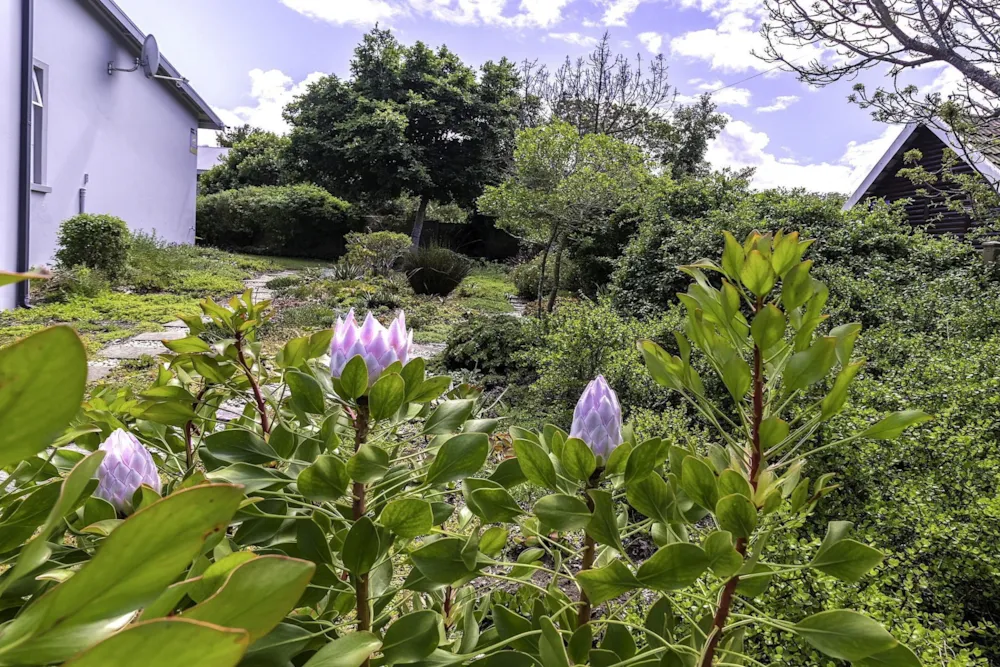 House for sale in Groenvallei, Sedgefield - GEO1756014 House for sale in Groenvallei, Sedgefield - GEO1756014
