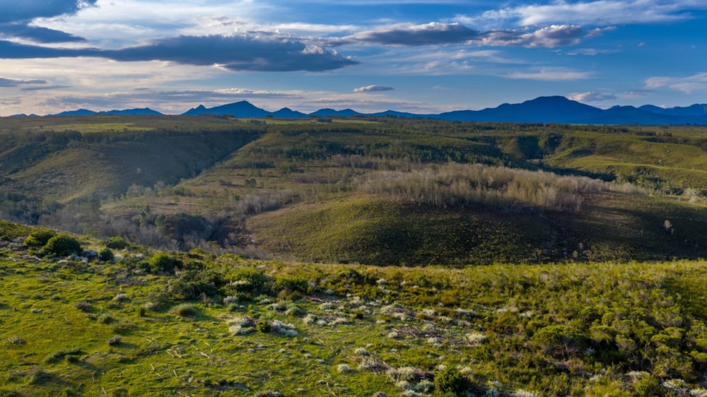 Residential vacant land for sale in Gondwana Game Reserve - 1MB1749972 Residential vacant land for sale in Gondwana Game Reserve - 1MB1749972