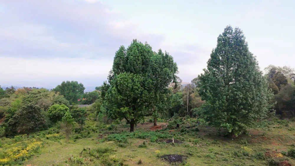 Residential vacant land for sale in Blackridge - 1PM1755935 Residential vacant land for sale in Blackridge - 1PM1755935
