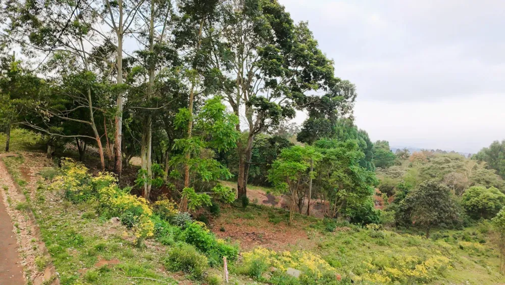 Residential vacant land for sale in Blackridge - 1PM1755935 Residential vacant land for sale in Blackridge - 1PM1755935