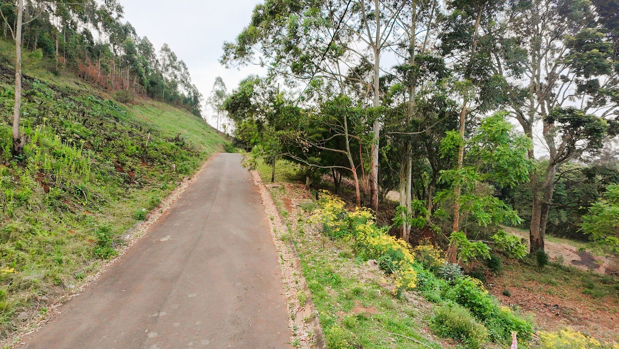 Residential vacant land for sale in Blackridge - 1PM1755935